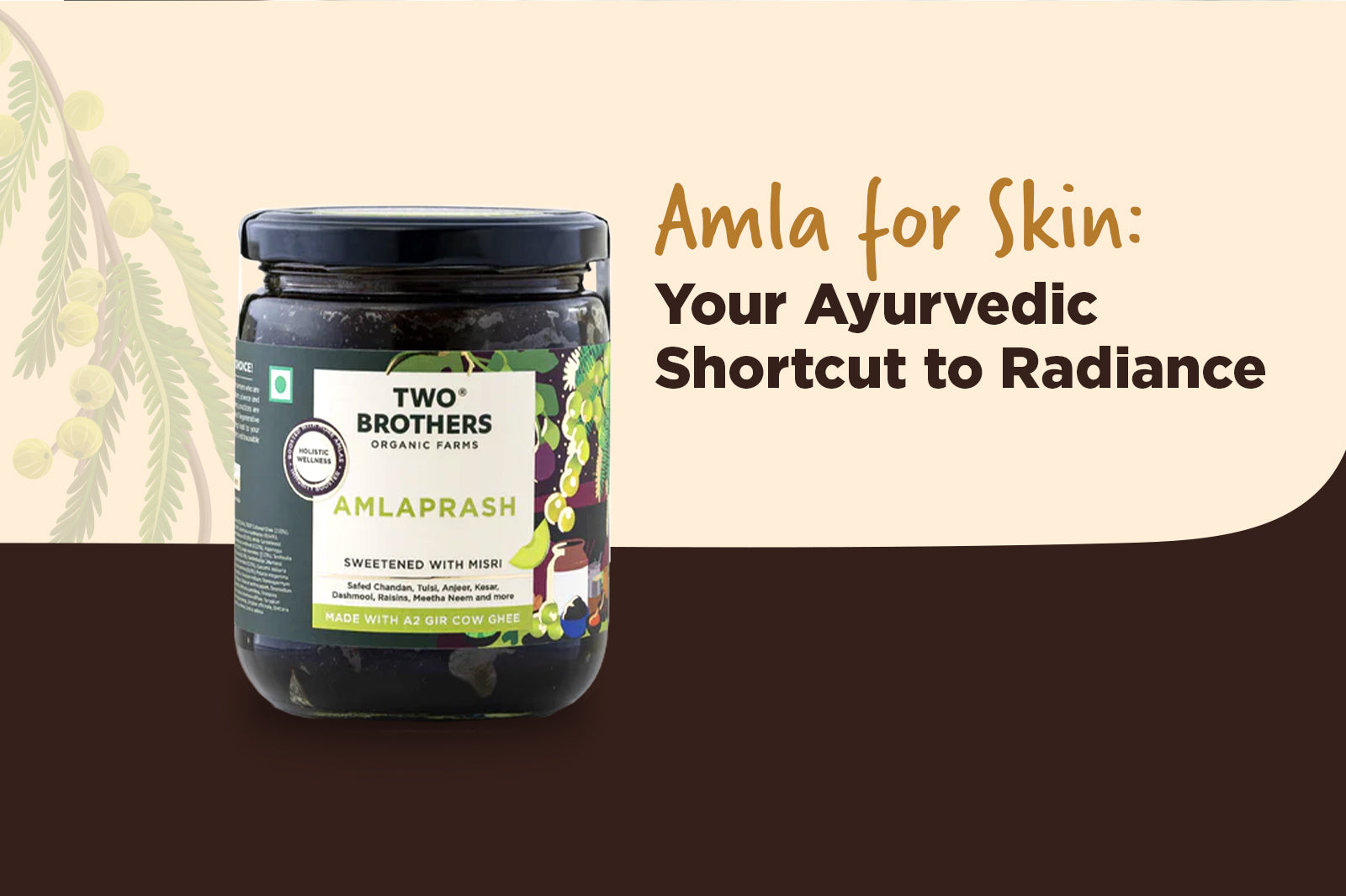 How Amla Helps with Sun Damage and Skin Sensitivity