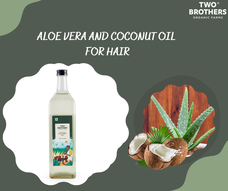 Using Aloe Vera And Coconut Oil For Hair  USA Two Brothers Farms