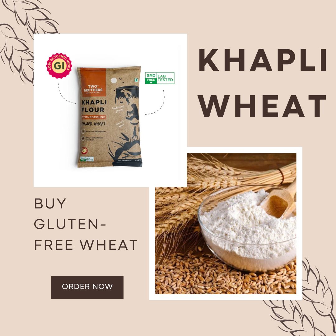 Is Gluten-Free Always Better? Why Khapli Wheat is Different