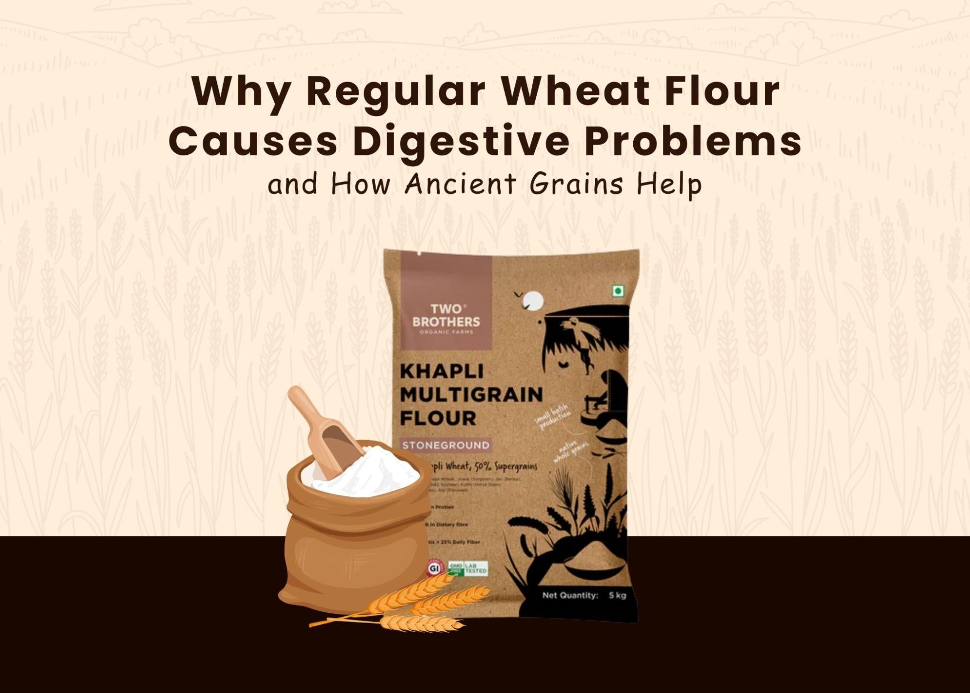 Signs Your Regular Atta is Causing Digestive Issues