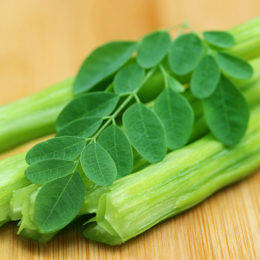Moringa Drumstick Benefits for Men: Prostate & Fertility  USA Two Brothers  Farms