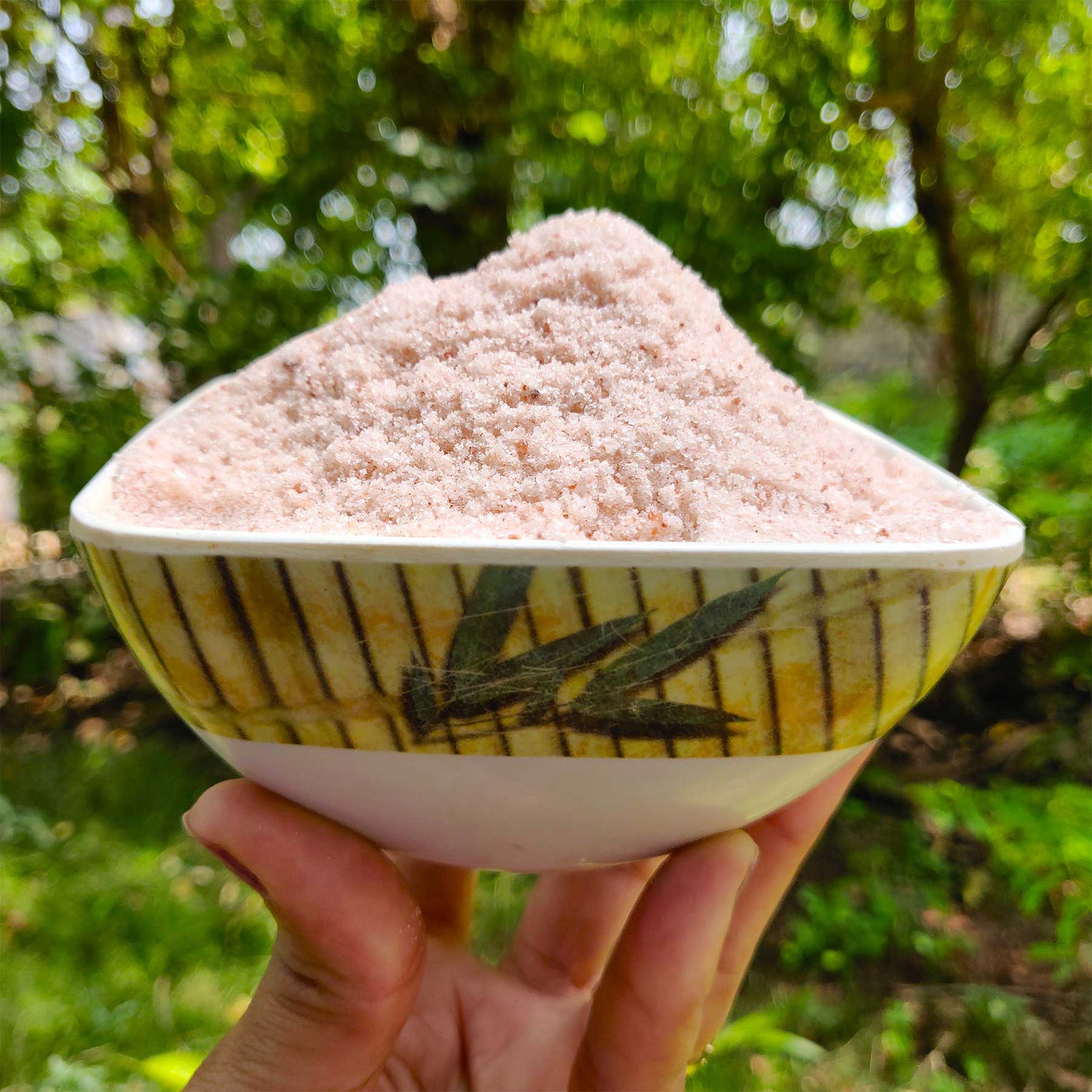 Pink Himalayan Rock Salt -BYOB
