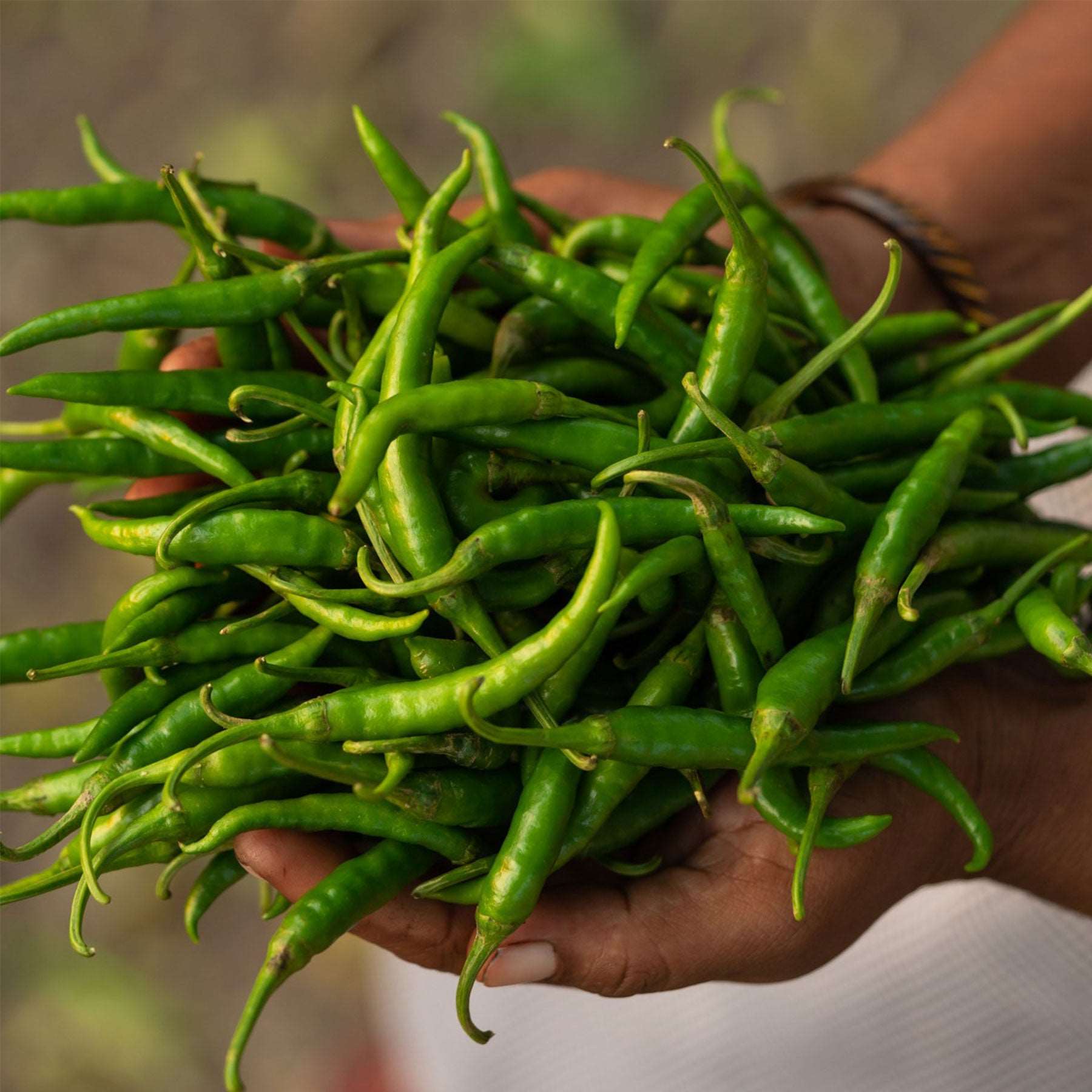 Spicy Green Chilly Pickle