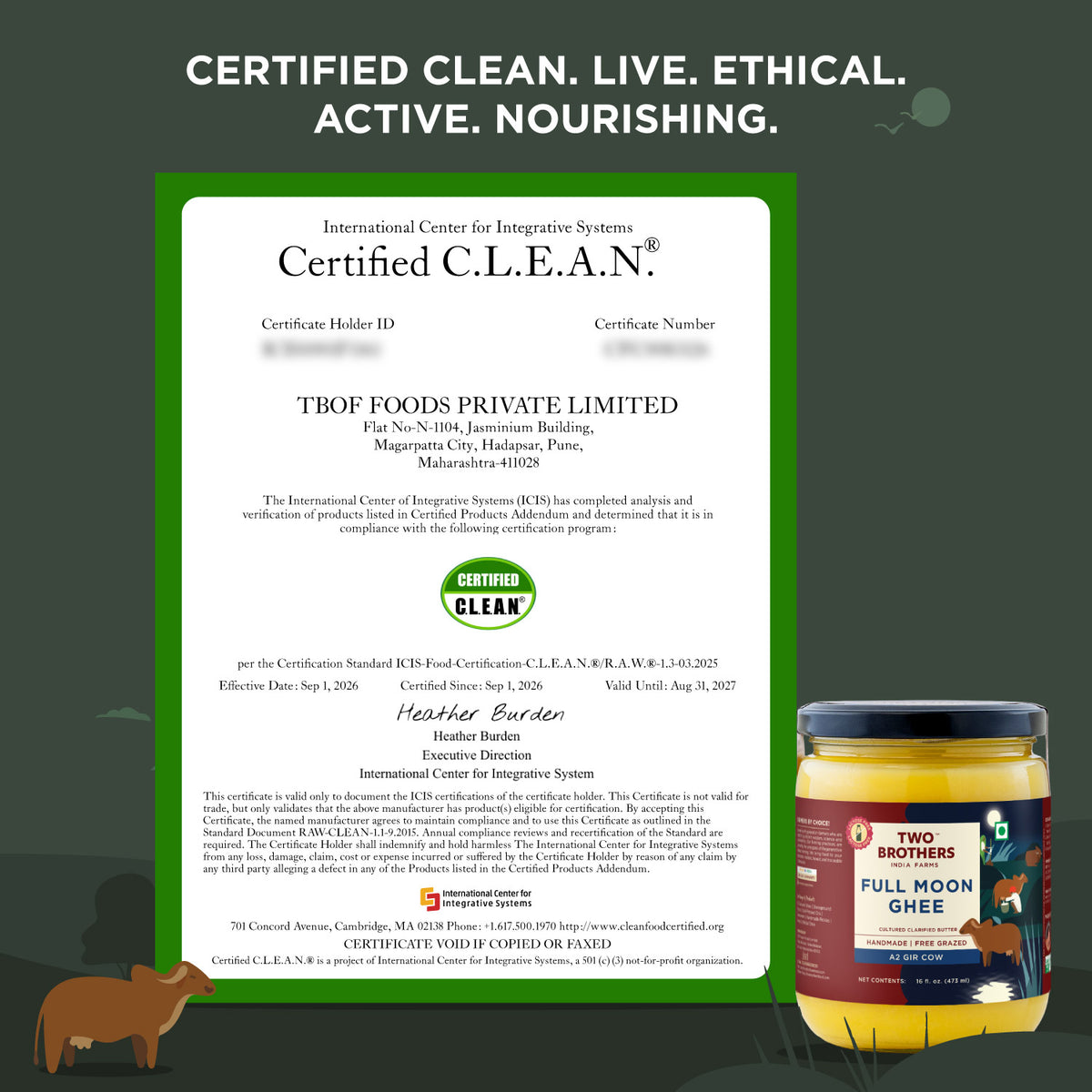 Full Moon Cultured Cow Ghee (Made on Full Moon Night)