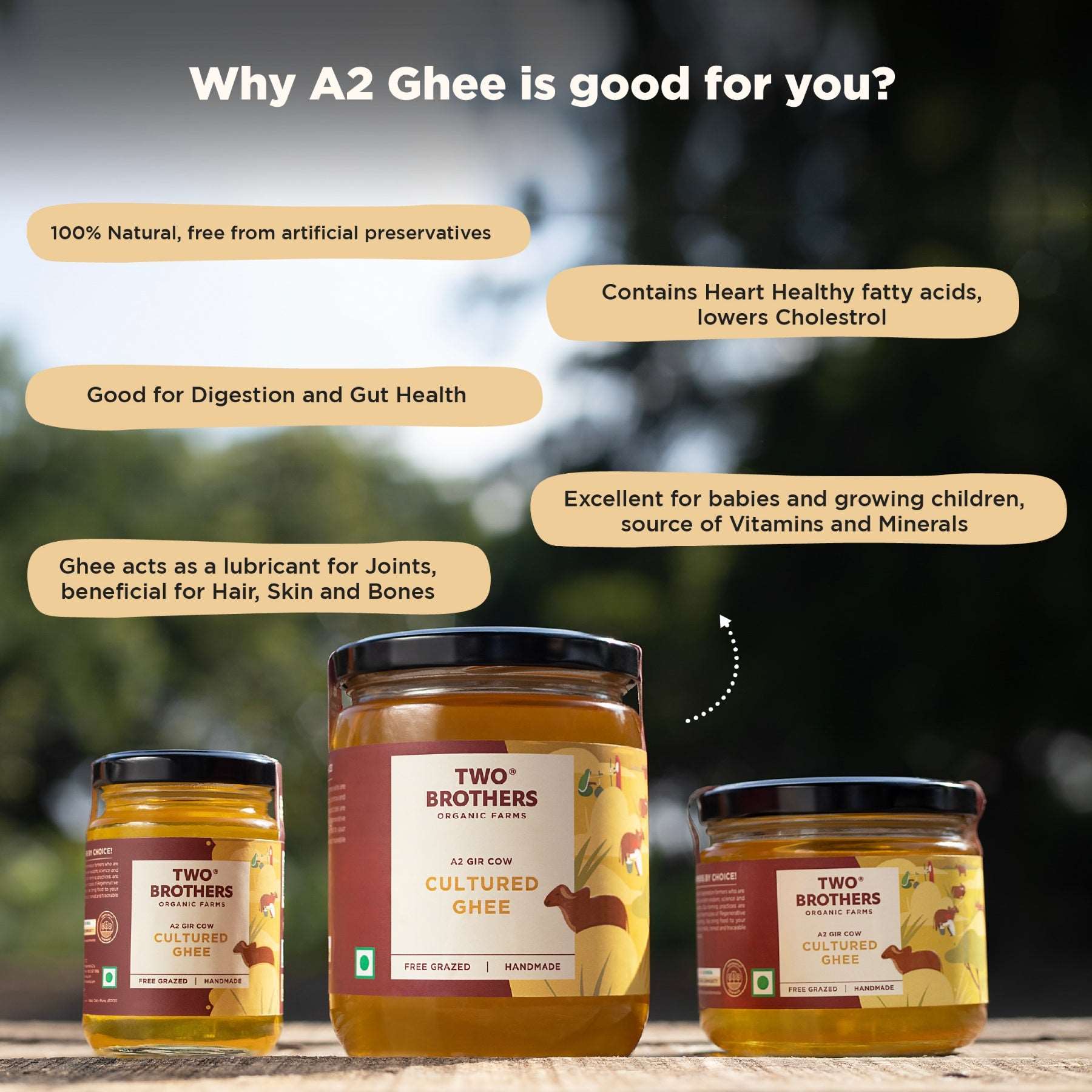 Organic A2 Cow Cultured Ghee Best Price