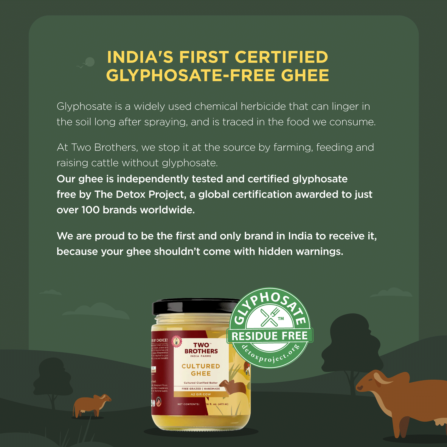 A2 Gir Cow - Cultured Ghee