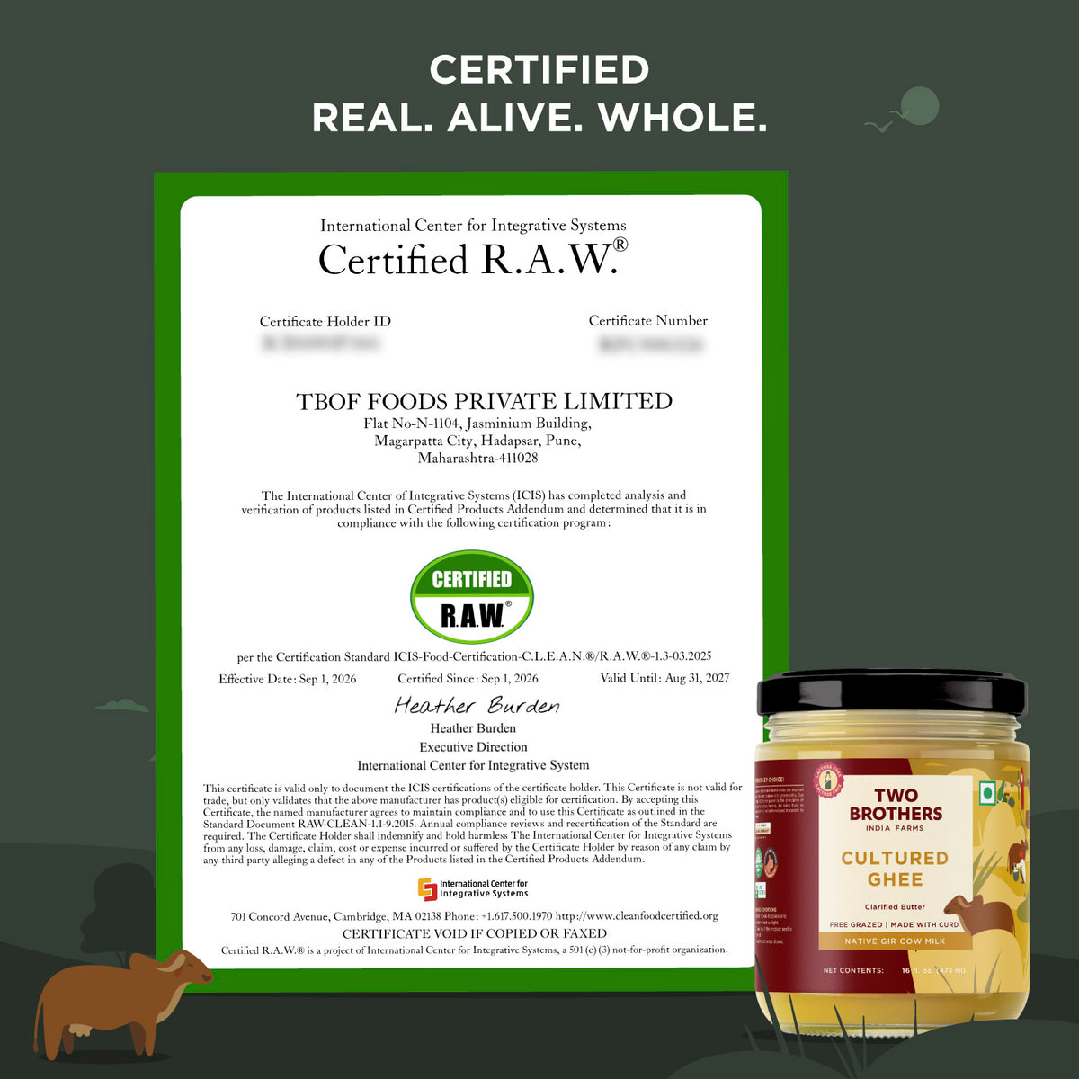 Desi Gir Cow Cultured Ghee