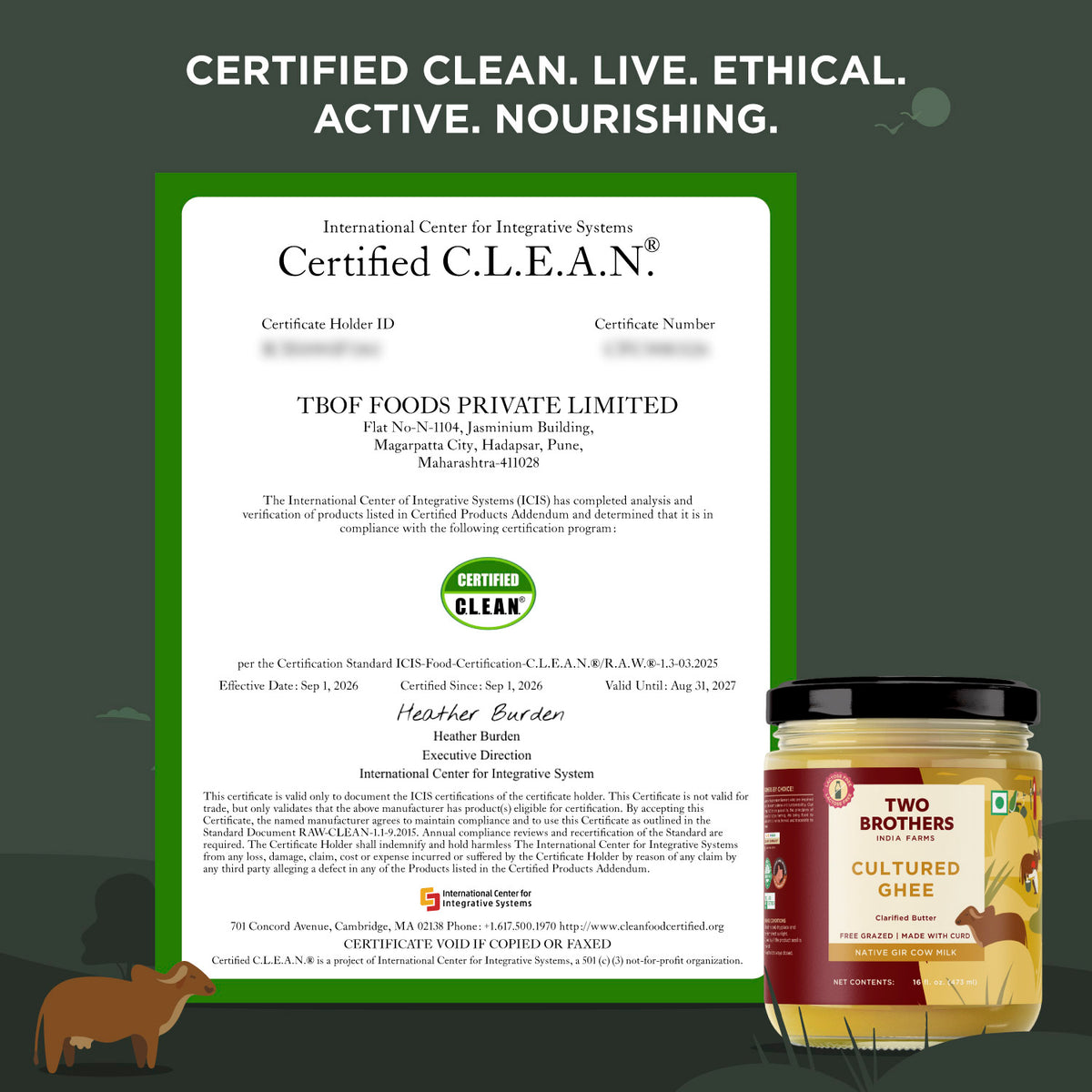 Desi Gir Cow Cultured Ghee