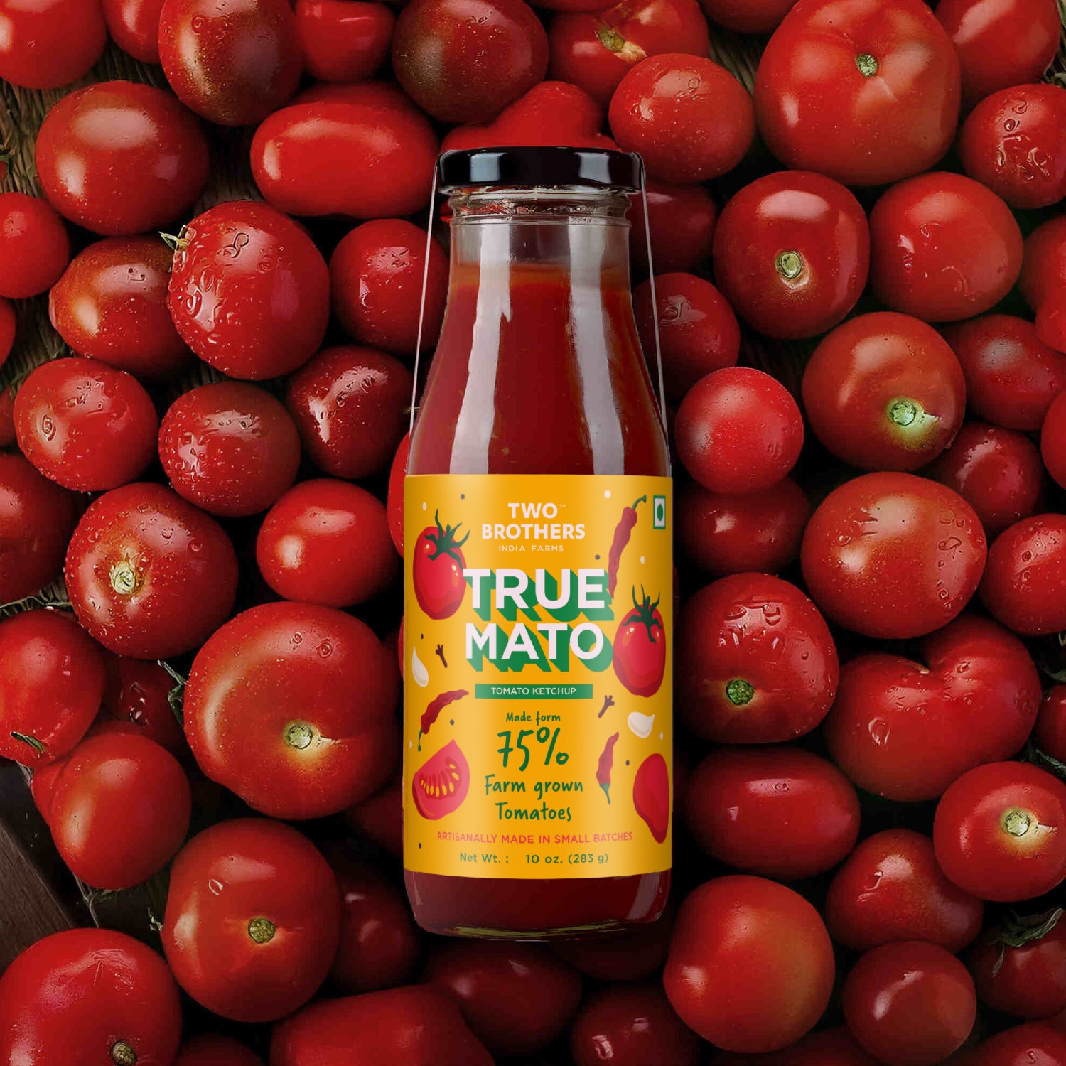 Spicy Tomato Ketchup