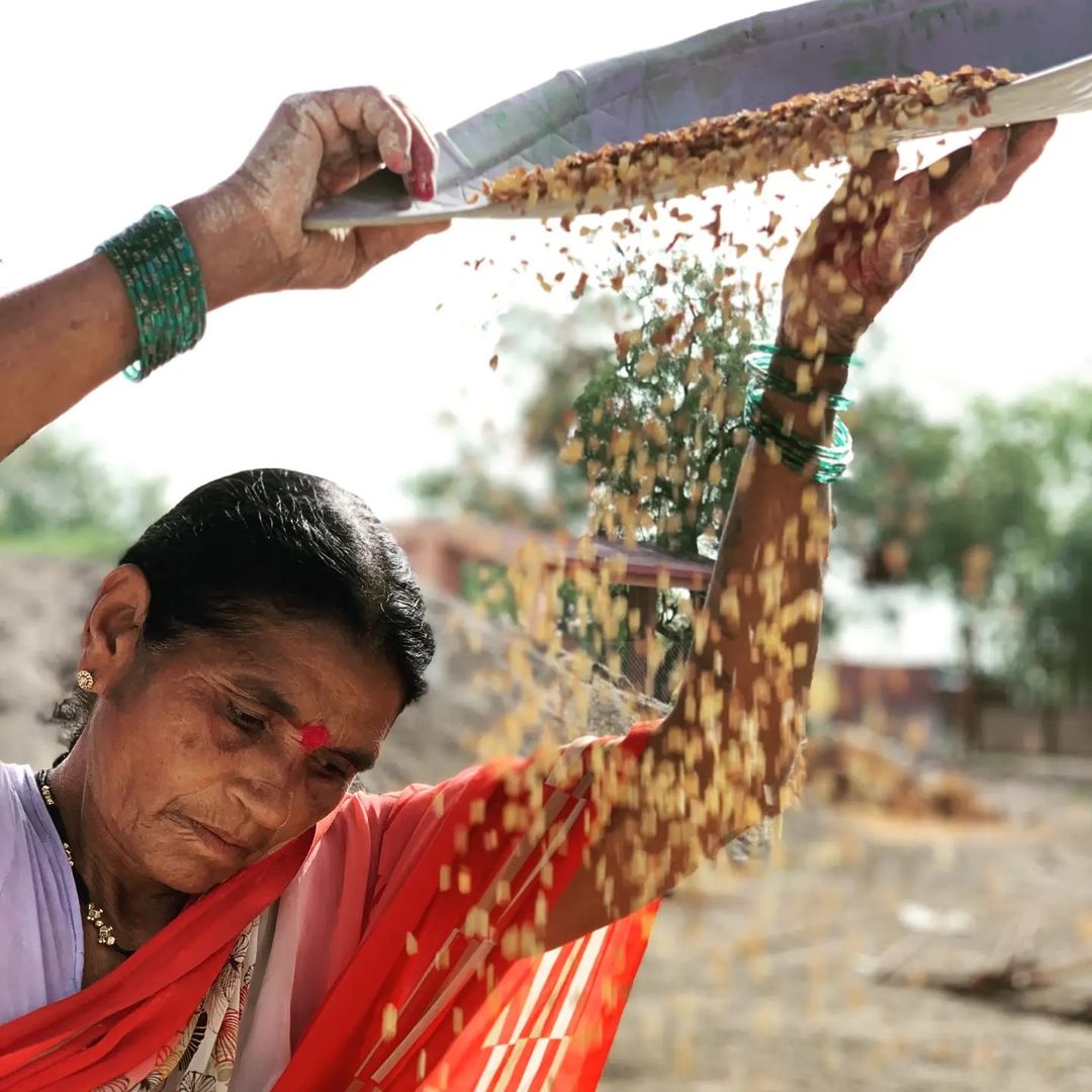 Native Variety Harbhara Chana Dal Atta; a Nutrition dense Gluten-free Multipurpose Flour!