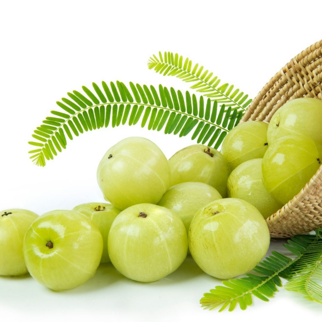 Amla Gooseberry