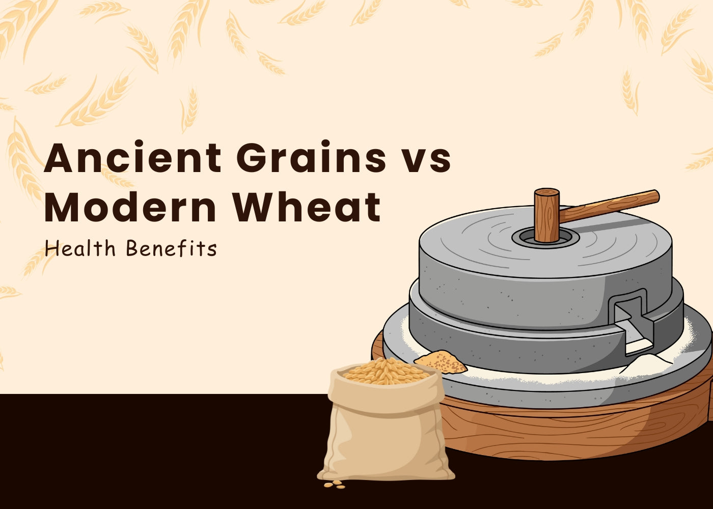 Ancient Grains vs Modern Wheat