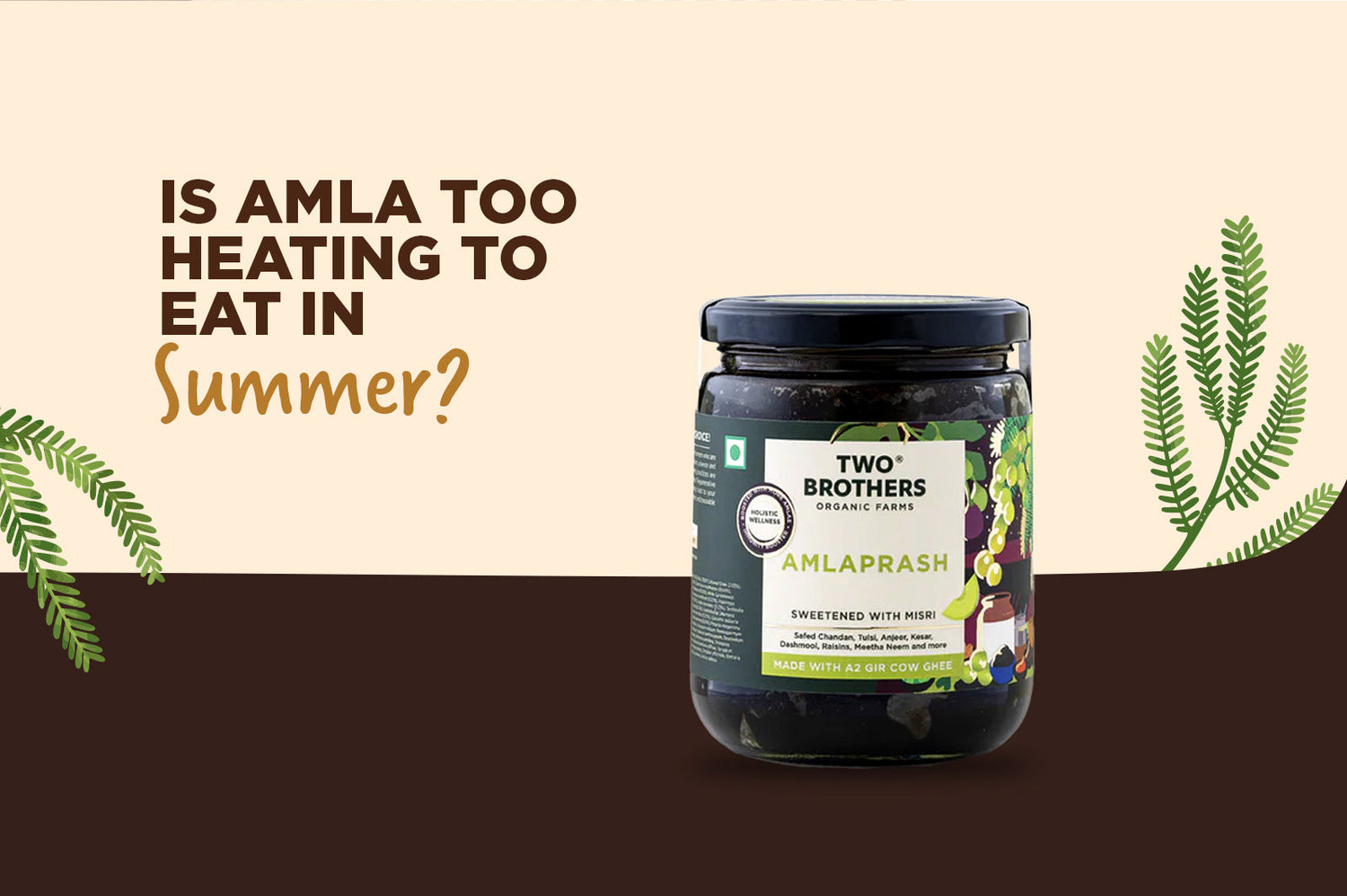 Is Amla Too Heating to Eat in Summer?
