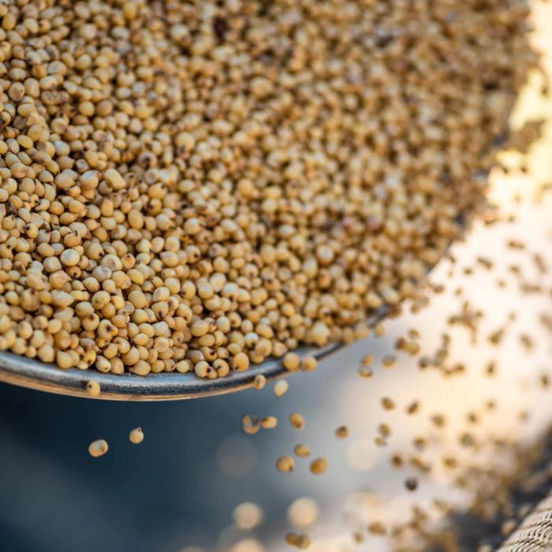 What Is Jowar Atta? - Benefits, Nutrition Facts, Composition, Recipes ...