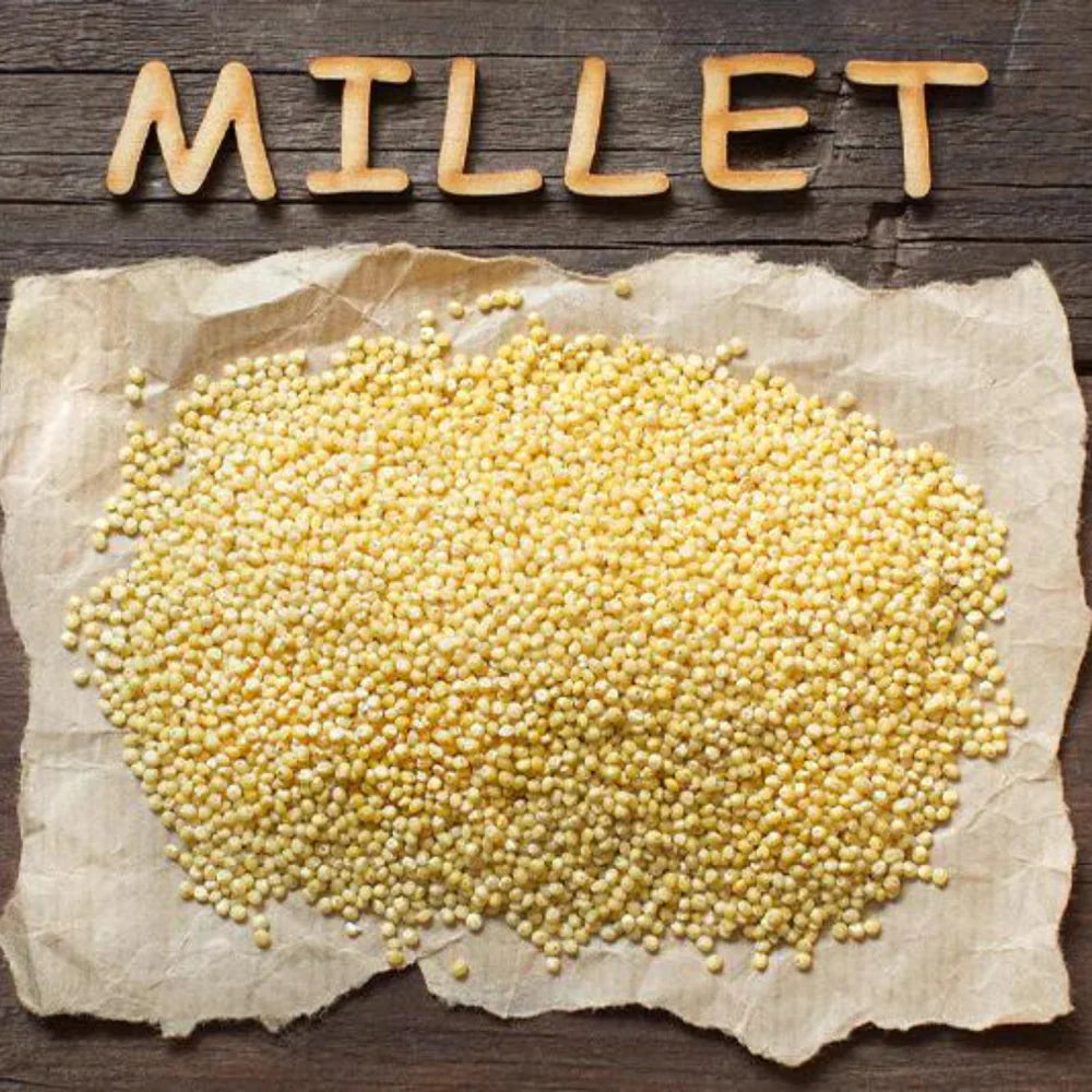 different-types-of-millets