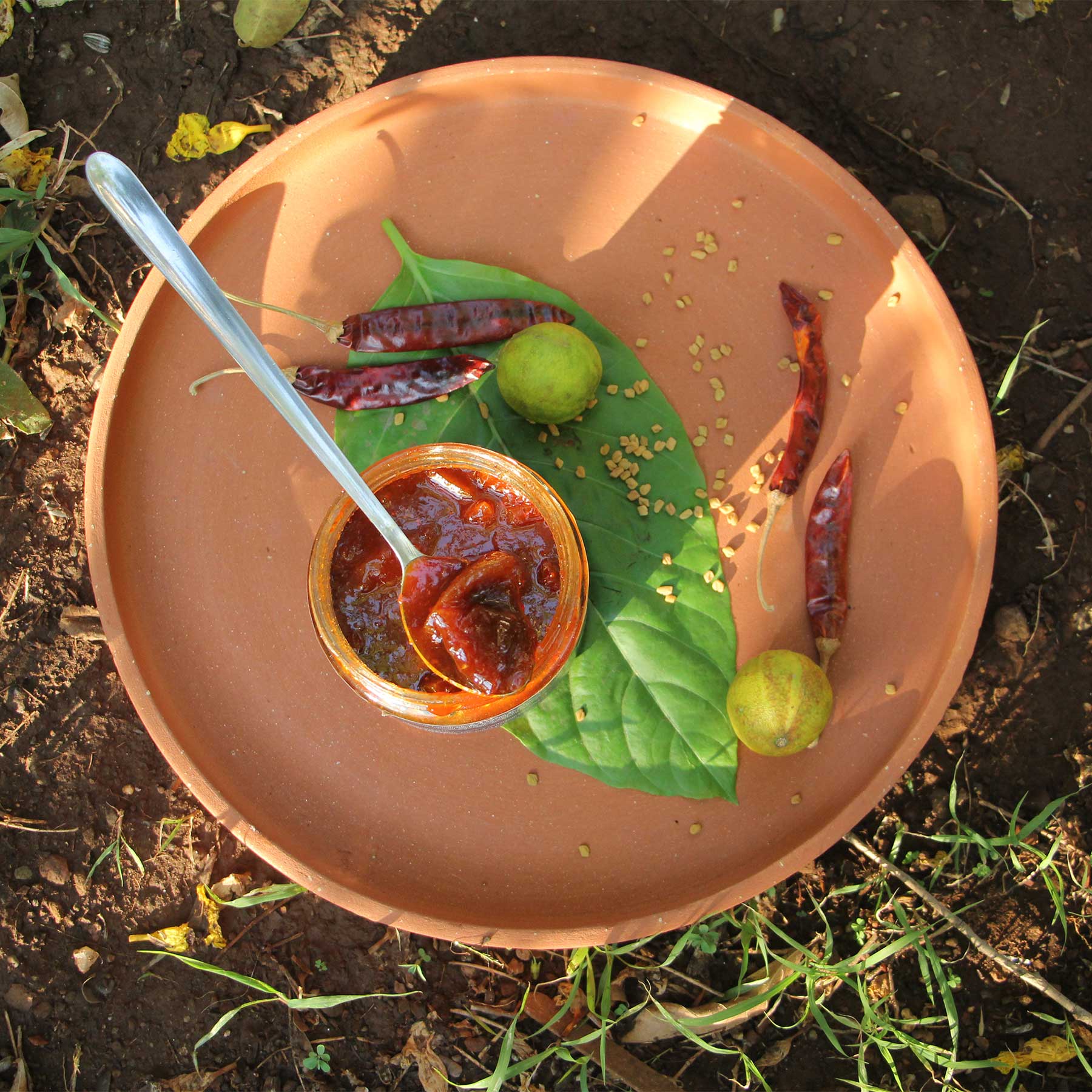 Spiced Lemon Concentrate Pickle (Vitamin- C Rich)