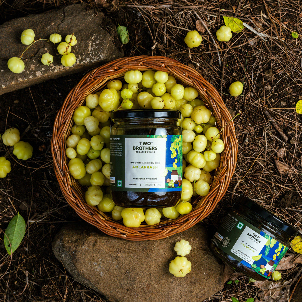 Buy Pure Amla Gooseberry Online In US Store