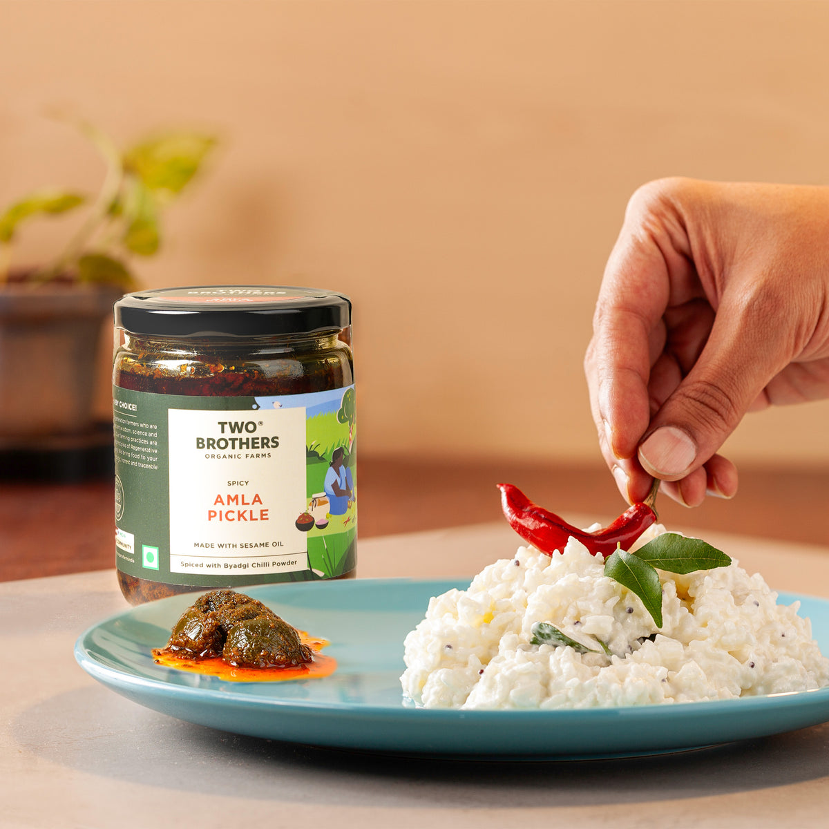 Spicy Amla Pickle (Khata Meetha Amla Achar)