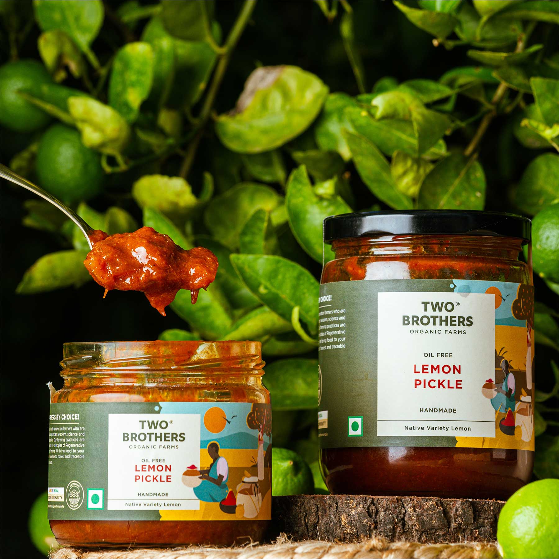 Best Price Spiced Lemon Concentrate Pickle Online in USA 
