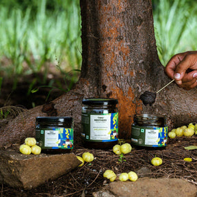 Buy Amla Gooseberry Online In US Store