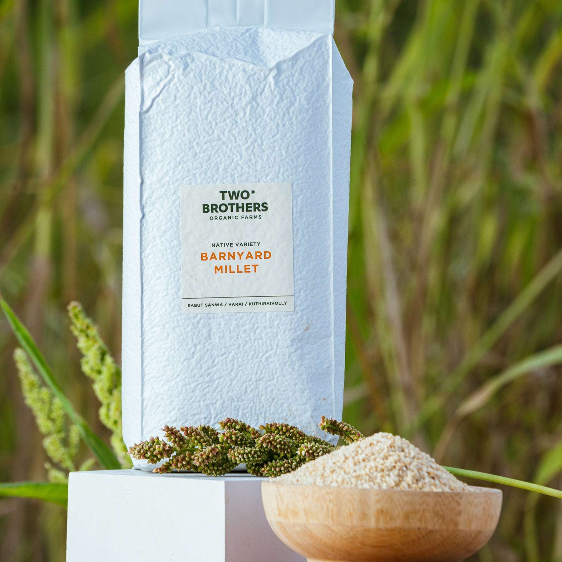 Buy Barnyard Millet