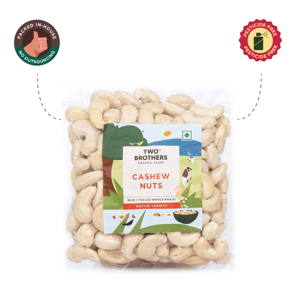 Raw Cashew Nuts