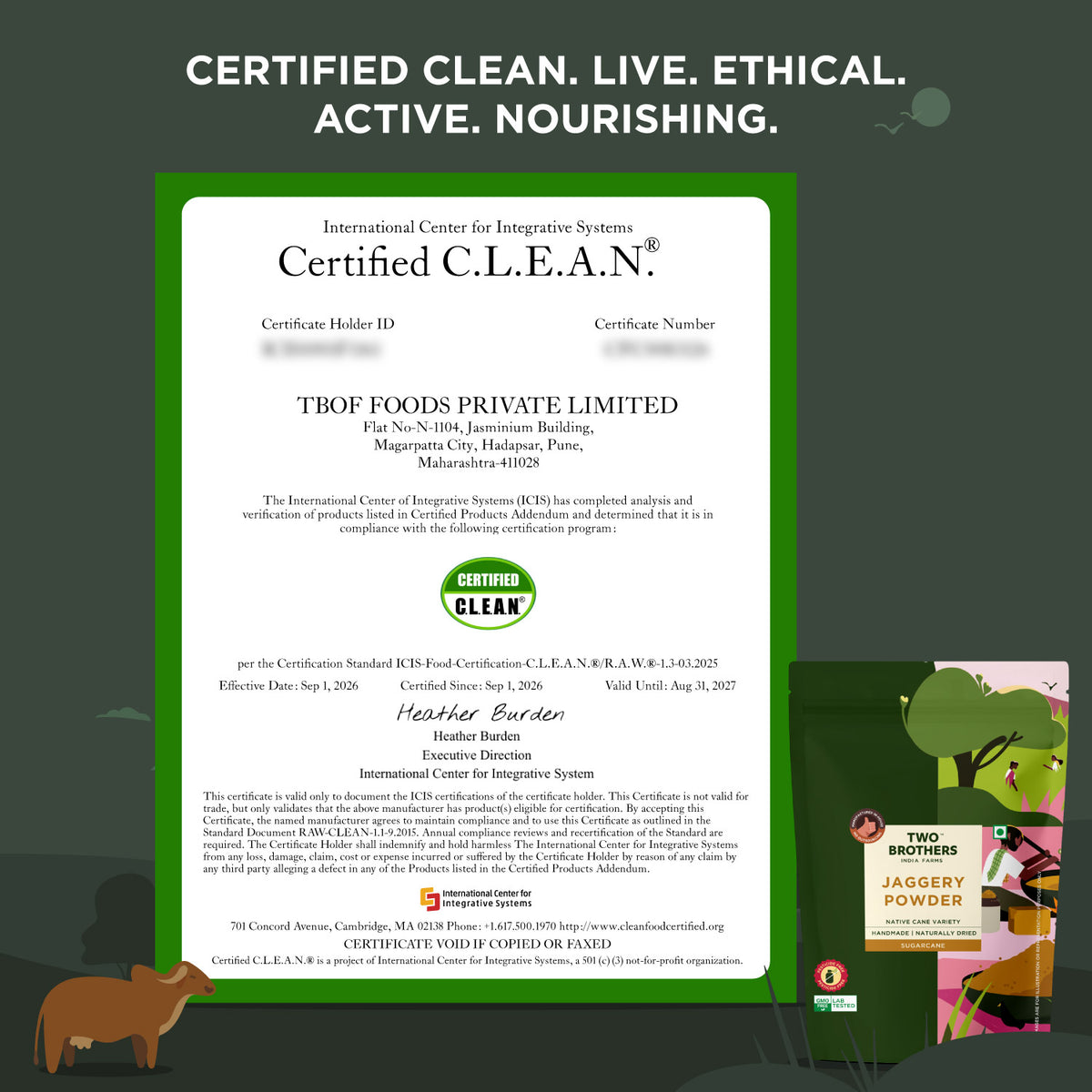 Unprocessed Natural Jaggery Sweetener