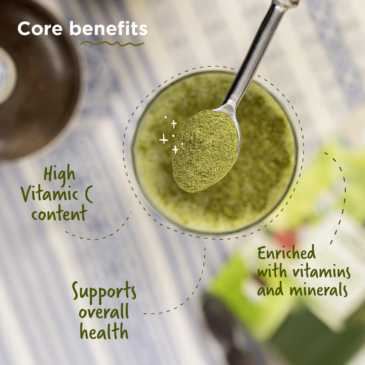 Buy Organic Moringa Powder | Lab-Tested Superfood | Two Brothers – USA ...