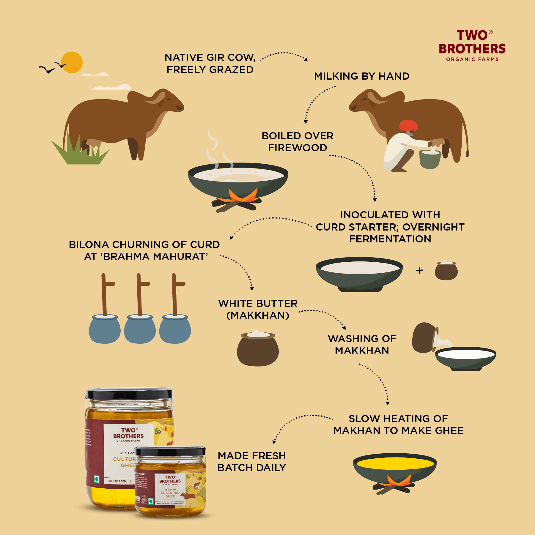 Process A2 Cow Cultured Ghee Buy in US