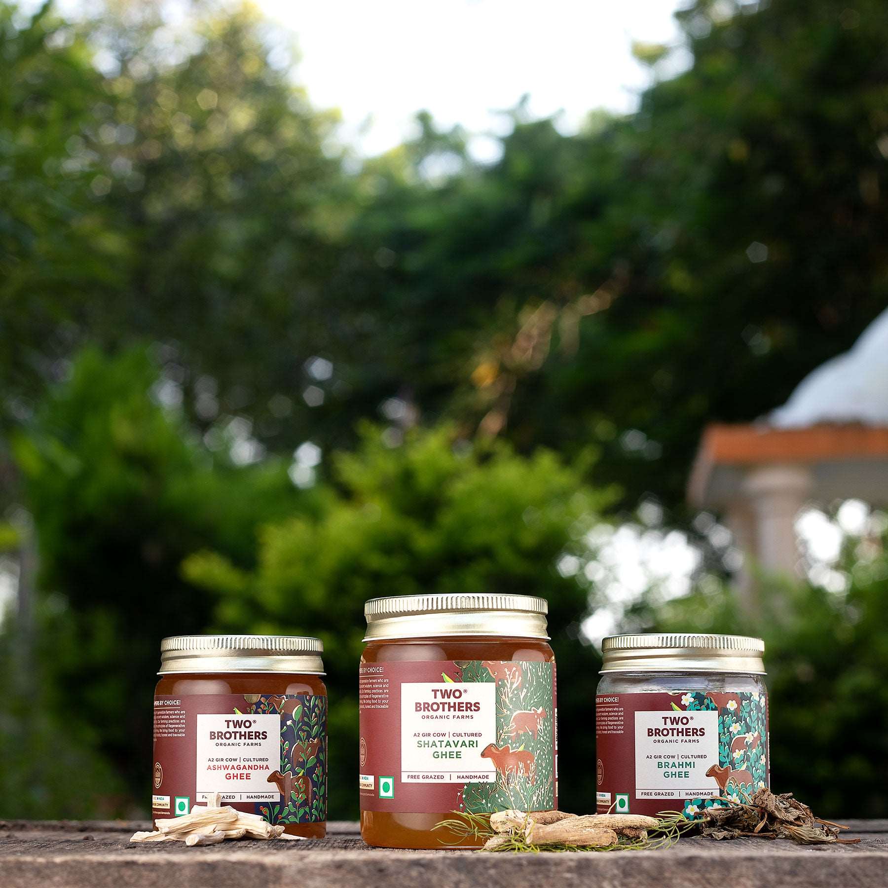 Shatavari Ghee Types of ghee | Women Wellness Online In US