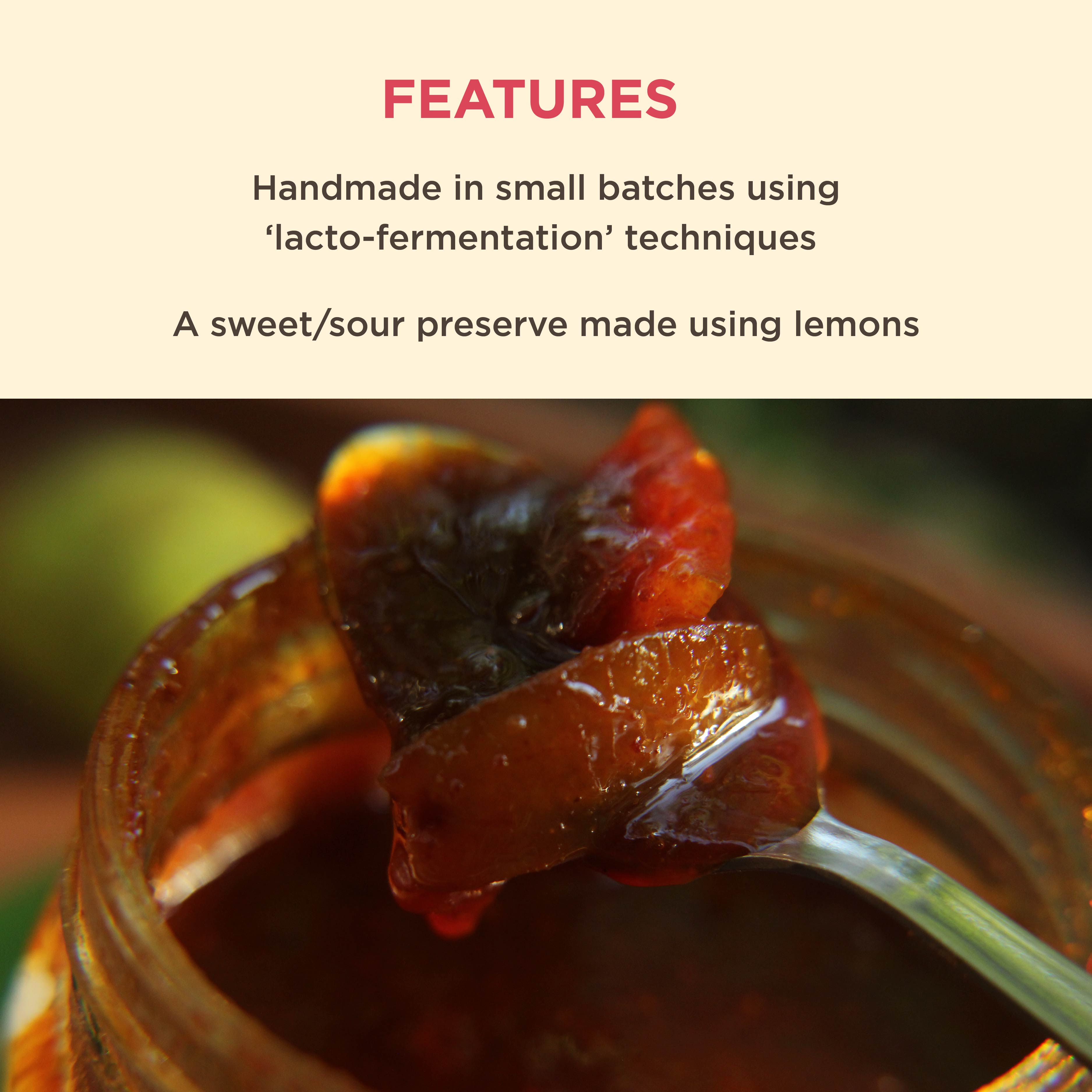 Shop Now Spiced Lemon Concentrate Pickle (Nimbu Achaar) from US Store