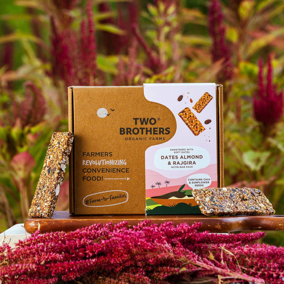 Buy Vegan Nutribars- Dates Online in USA Store